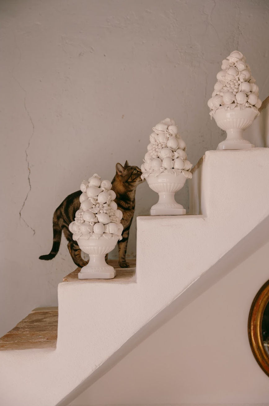 Copa Ceres